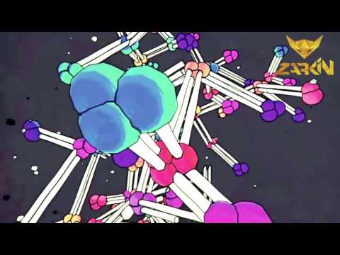 DJ ZARKIN Baby Ko Bass Pasand Hain REMIX by DJ ZARKIN [HD Video]