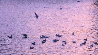 Mono - Karelia (Opus 2)