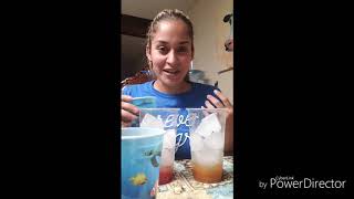 Herbalife Tea Bomb