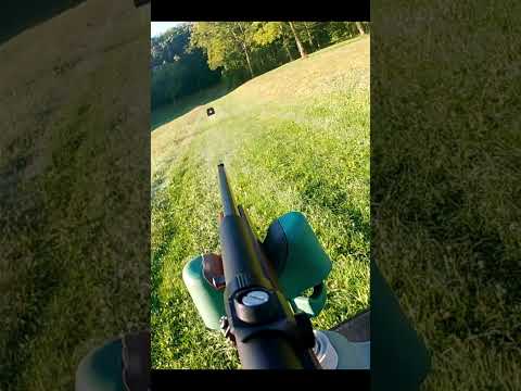 Sighting in the .22 for squirrel season  #hunting #outdoors