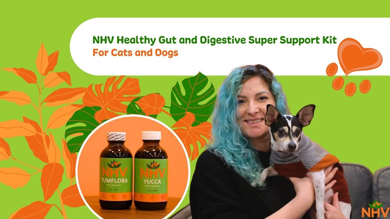 NHV Superstøttesett for sunn tarm og fordøyelse for katter og hunder