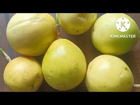 કૃષ્ણ ફળ || passion fruit ||#krushnfal