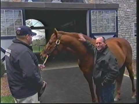 Gary Stevens Visits Point Given, Thunder Gulch & Smarty Jones