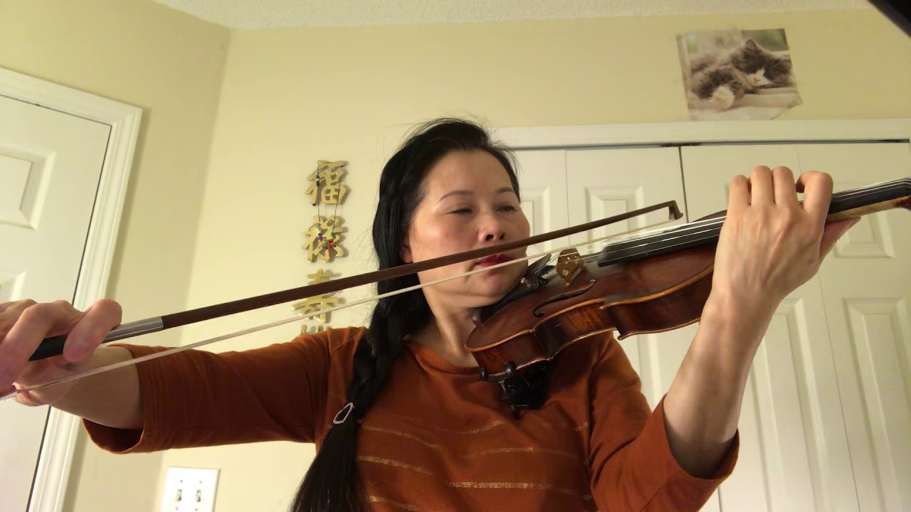 Promotional video thumbnail 1 for Ocean violinist