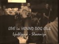 BABY LET'S PLAY HOUSE by The Lucky Cupids LIVE in Hound Dog .wmv