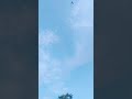 Kabutar Ki Udan