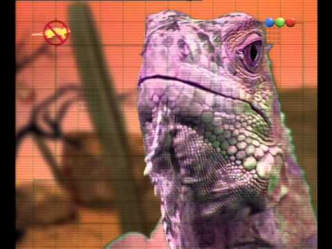 Florencia Peña, La Villana De Turno - Sábado Bus