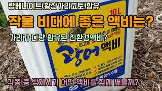 채소와 과일 비대에 좋은 황산가리고토(랑베나이트)가 다량 함유된 광어액비를 한라봉 농장에 뿌려주었습니다
