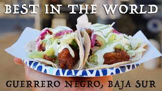 These Are The Best Baja Fish Tacos // Bahia de Los Angeles to Guerrero Negro