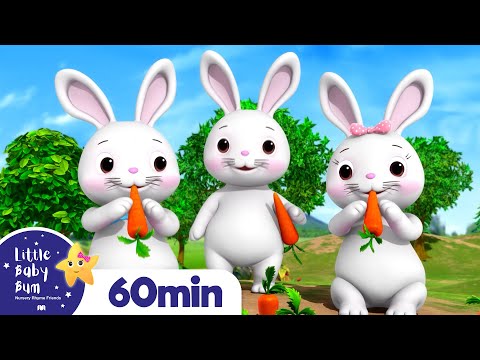 Bunnies, Bunnies +More Nursery Rhymes and Kids Songs | Little Baby Bum