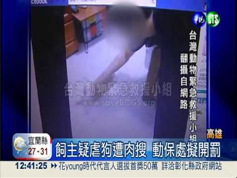 臘腸狗當拖把 飼主自拍影片遭批