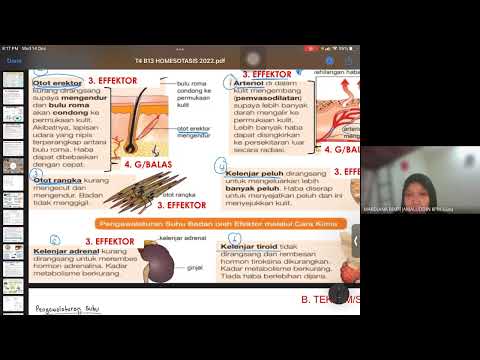 Bio T4 B13  13.1 homeostasis 2022
