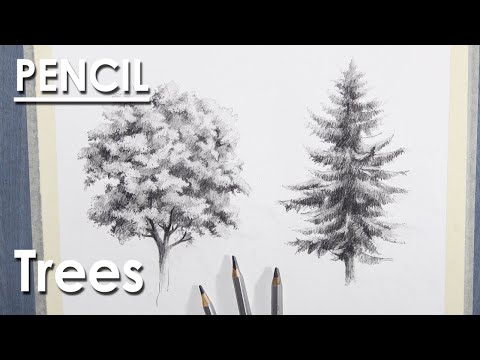 How to Draw Trees | Sketching techniques | Walnut and Pine Tree Pencil Drawing