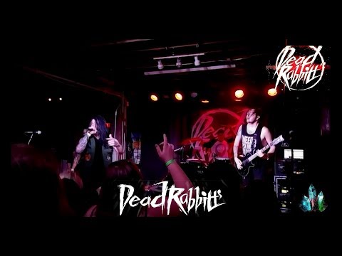 The Dead Rabbitts - Full Concert Live! "Higinia" "Dead Again" "My Only Regret" & More