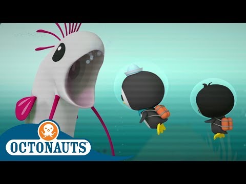 The Giant Sea Snake