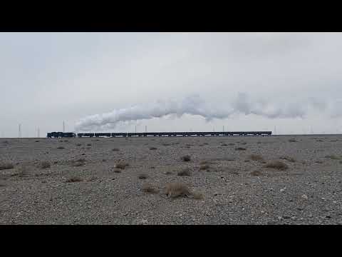 Surviving the Gobi Desert