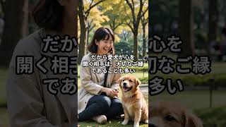 HSS型HSPは「犬を飼うと人生が変わる」#hspあるある #hspsycho #hsp気質 #hss型hsp気質 #hss型hspあるある