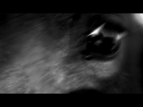 Balqaş Jyry | The Song of Lake Balkhash, teaser