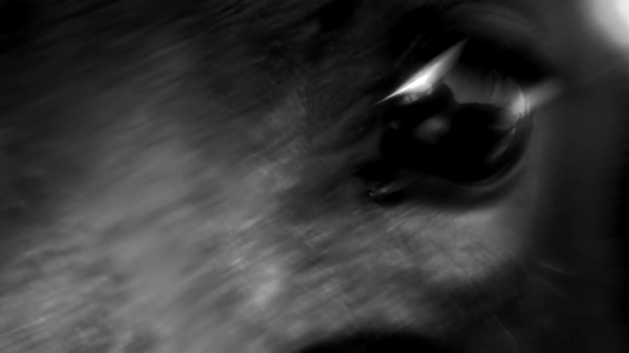 The Song of Lake Balkhash — Official Trailer