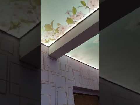 Ветка сакура