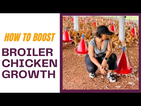 , title : 'Make your chickens grow faster with *NATURAL GROWTH BOOSTERS*👌Get those broilers ready for Xmas 🎄'