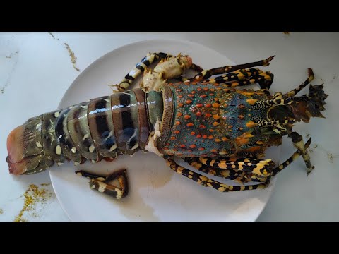 Mozambique Lobster | Let's cook a lobster for dinner