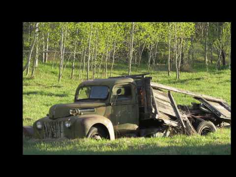 Bigfoot Tracks Found at Bloody Bucket Kill Site