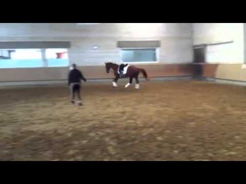 Emilio v. Ehrenstolz 01