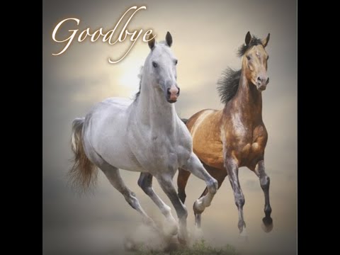 Goodbye Ft. Brian Berg & Rohini (Official Music Video)