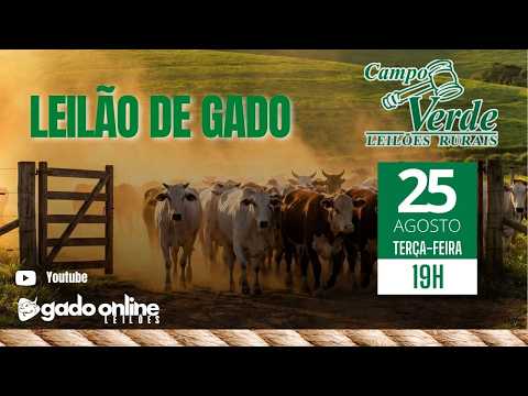 🌟Leilão de Gado Campo Verde AO VIVO | Igaratinga/MG | 🎥