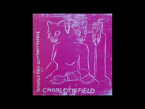 Charlottefield  - Live John Peel Session - Twominutemen 2 night - 23/7/2003