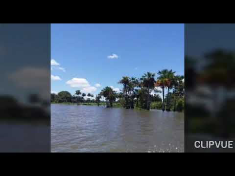 Diosito Mio - Jesus Daniel Quintero El Tigrito De Matanegra