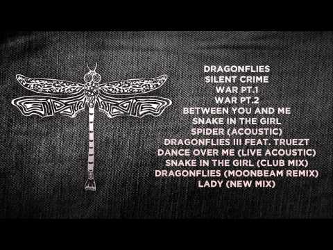 Everyone's Talking - Dragonflies III Feat. Truezt [Album Playlist]