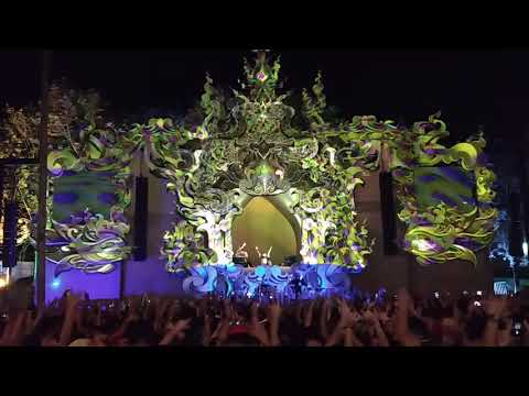 1200 Micrograms - Mandallah 12/10/2019