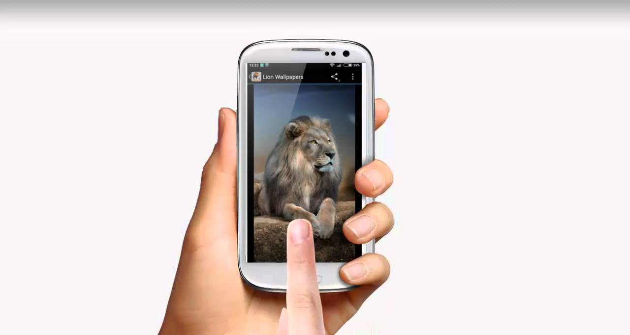 Lion Wallpapers App Android