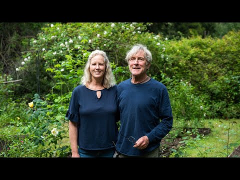 A Historic Santa Cruz Rose Garden - Roses of Yesterday and Today