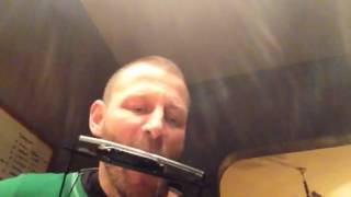 Please throw this poor dog a bone