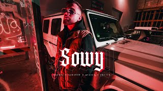 Songtext von Baba Hassan feat. Pusher, Oska30, Gracek, Omerta075, Lotuseffekt - Sowy Text Musik-video-Miniaturansicht