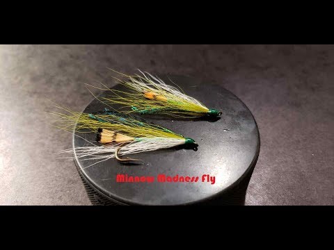 Friday Night Flies - The Minnow Madness Fly