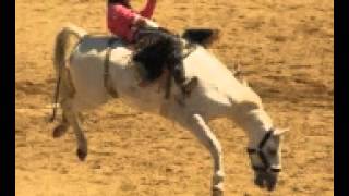 &quot;Navajo Wrangler&quot;