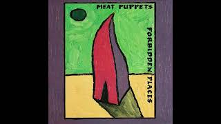 meat puppets - whirlpool