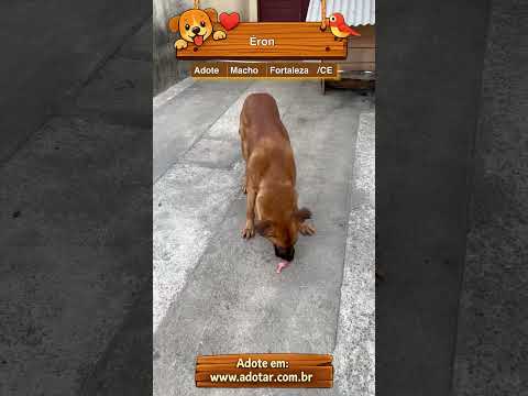 Vídeo de Éron