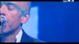 R.E.M. - Nightswimming (Live)