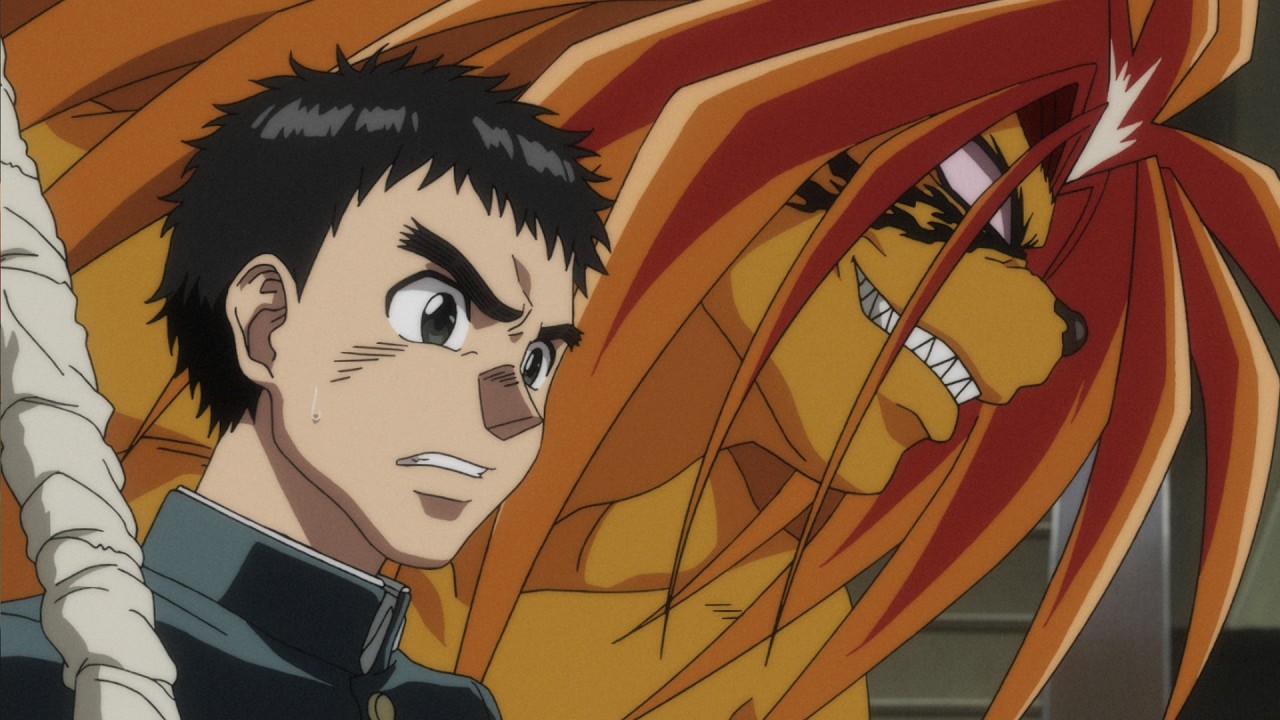 【Complete Series】 Ushio and Tora