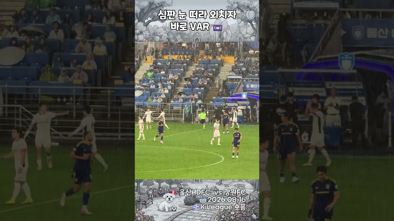 [K리그] "심판 눈 떠라" 외쳤더니 진짜 VAR 갔습니다 ㄷㄷ 온필드리뷰 결과 골킥에 현장 난리 난 울산 vs 강원 #shorts