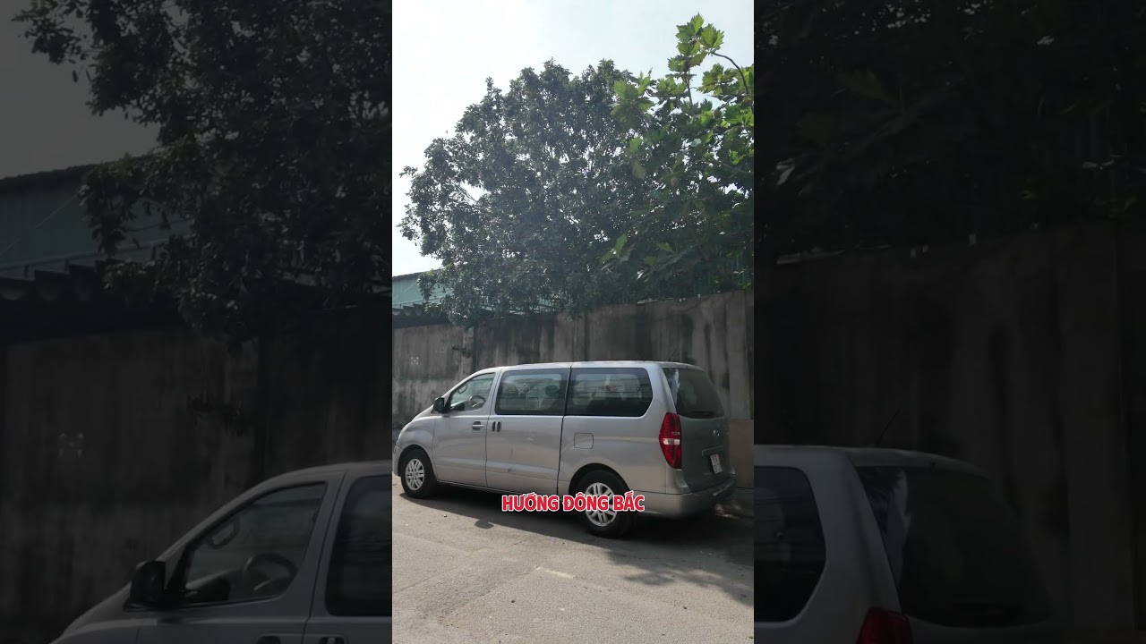 Ảnh đại diện Video