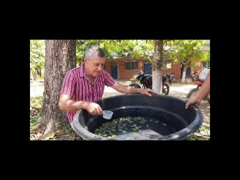 San Sebastián de Buenavista  IED La Pacha - Docente OrIando Patiño Garcés
