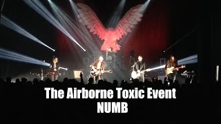 The Airborne Toxic Event - NUMB - Live in Concert - Great Sound