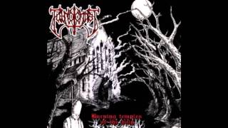 Putrid Christ - Raped in the Ruins of the Woods