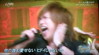 ローラの傷だらけ☆キリにゃんダンス